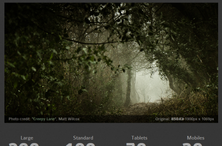 Como manejar Adaptive Images en HTML
